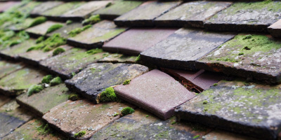 Newland roof repair costs